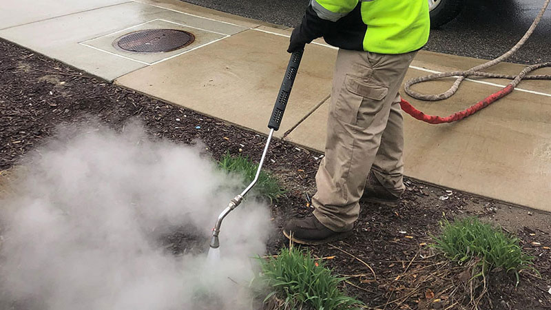 A grounds maintenance worker is killing weeds using high-temperature steam.