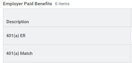 Payslip screenshot showing Employer Paid Benefits