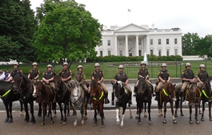 Mounted Unit