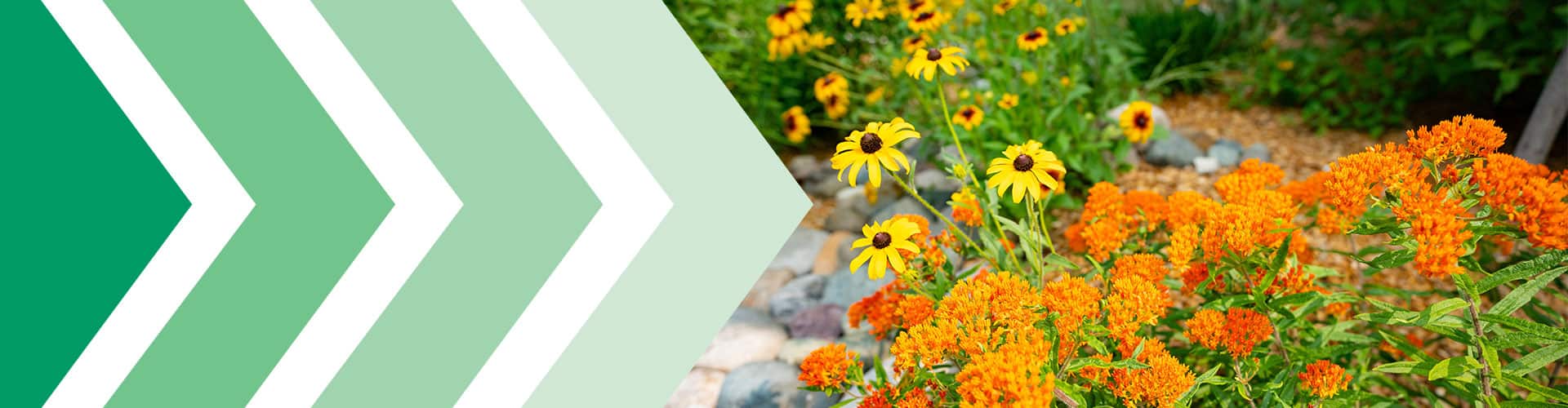 RainSmart Rain Gardens Page banner