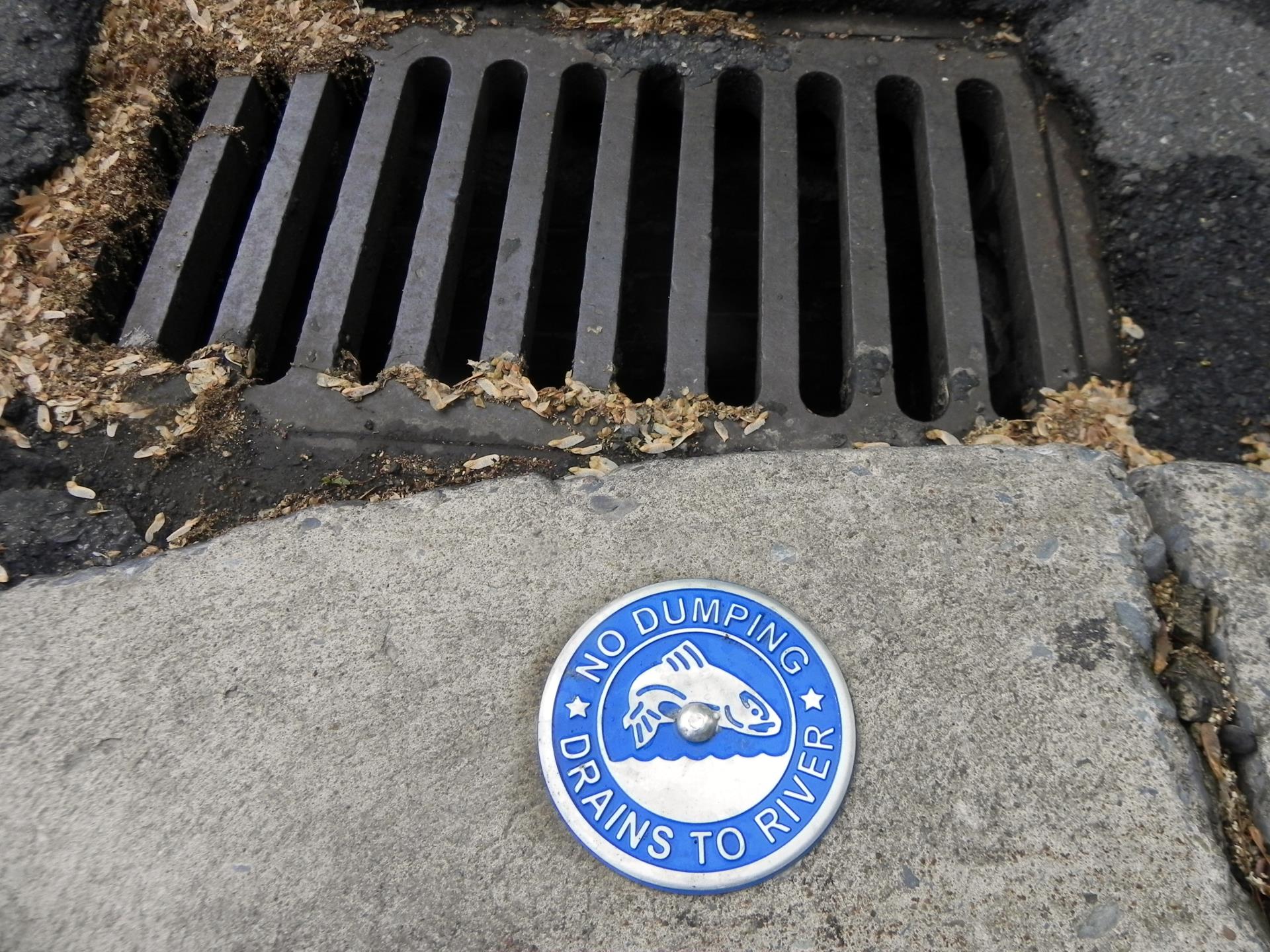 No Dumping - Drains to River sign next to drain