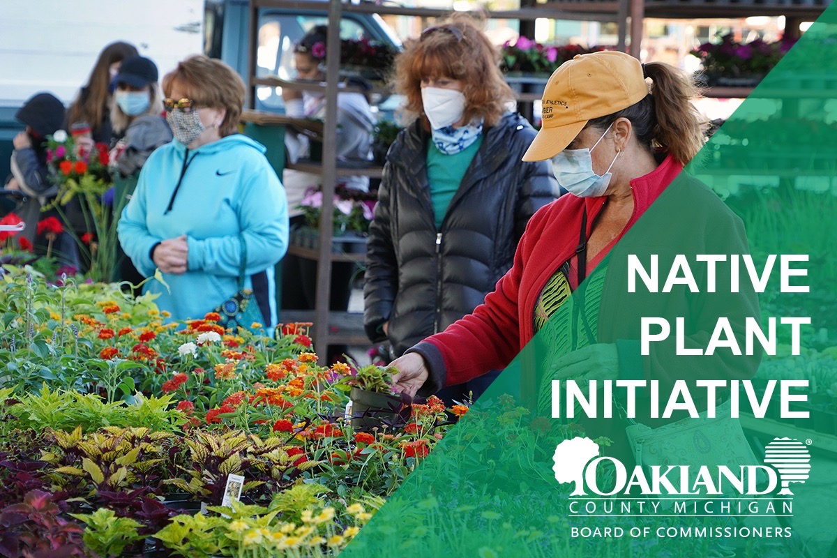 Native Plant Initiative Banner