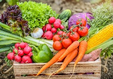 Calendar Image - 300x210 px - Farmers Market Training