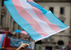 Calendar Image - 300x210 px - Transgender Flag
