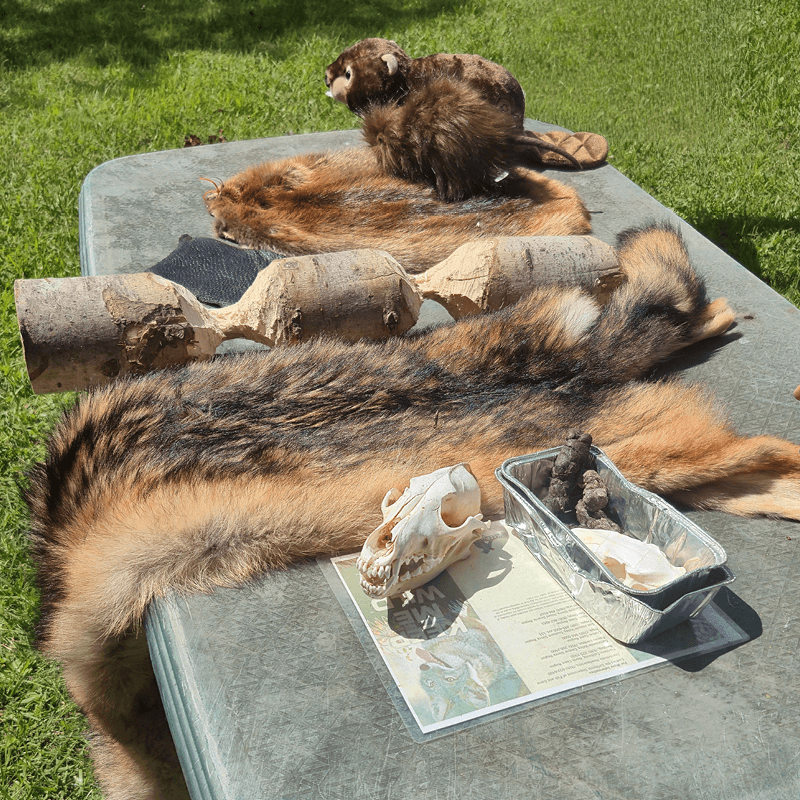 furs