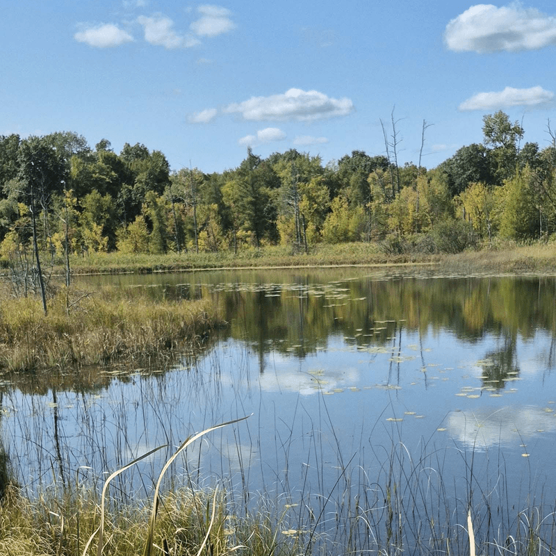 park lake