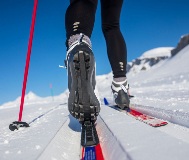 cal_cross-country