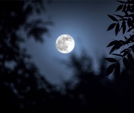 cal_Hunter-Moon-Hike