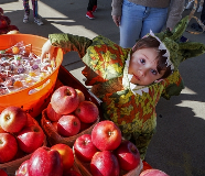 trick or treat at the market