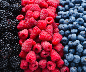Blackberries, raspberries, and blueberries in rows