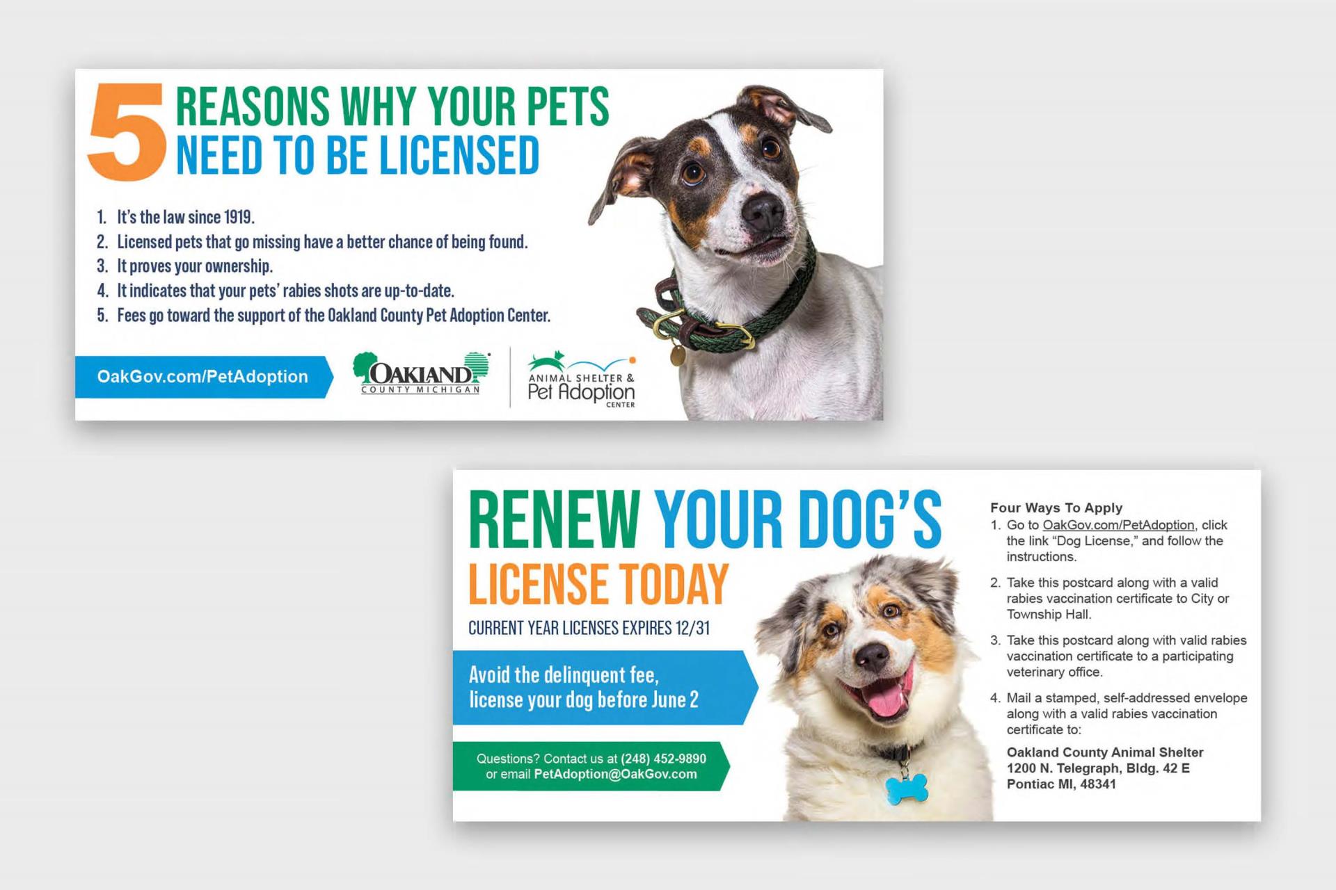 Animal Shelter dog license reminder design