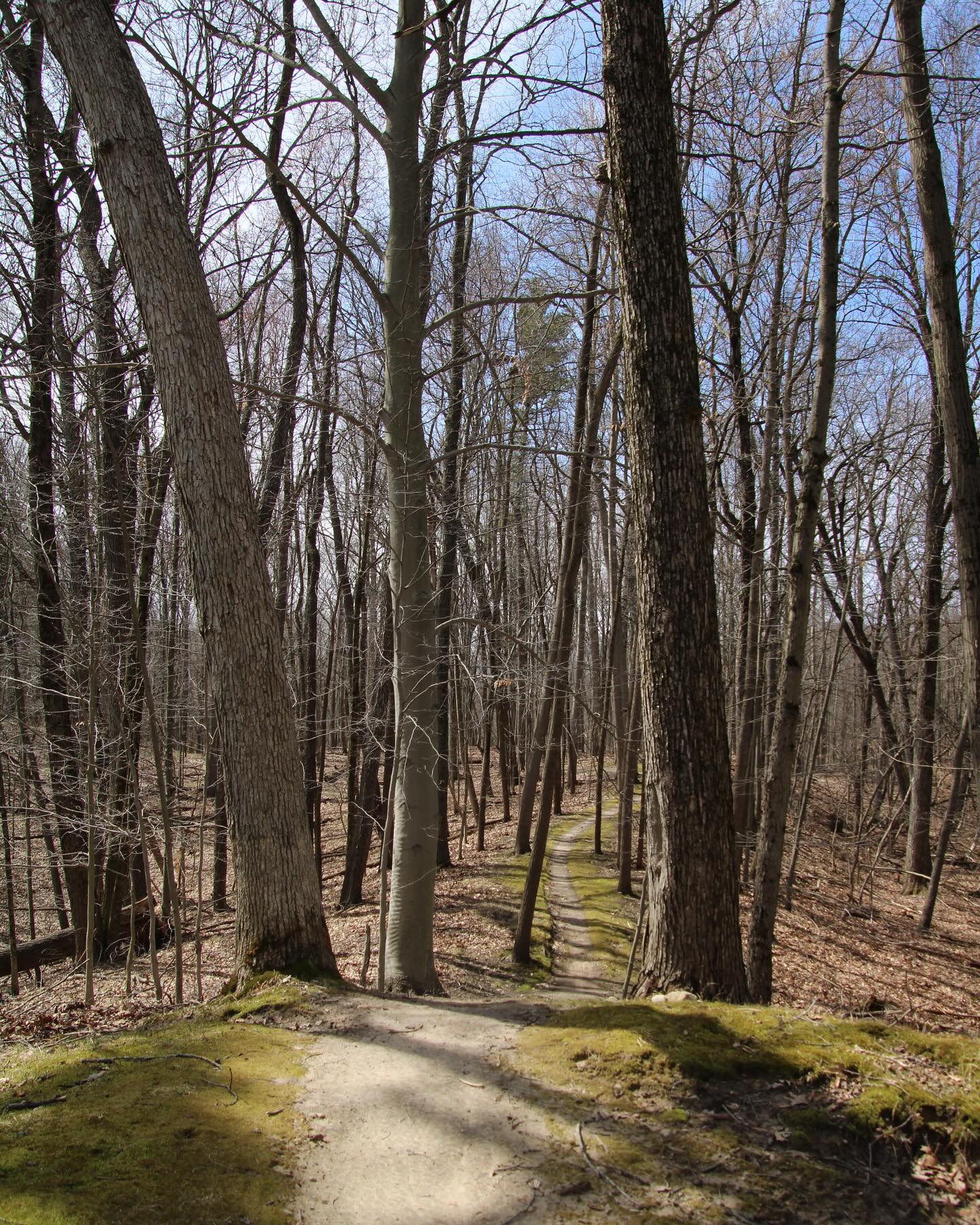 Photo of hiking trail in Addison Oaks in Leonard
