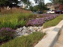 dennis_avenue_green_street