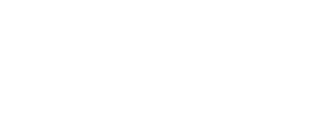 WRC Logo_White_Transparent background
