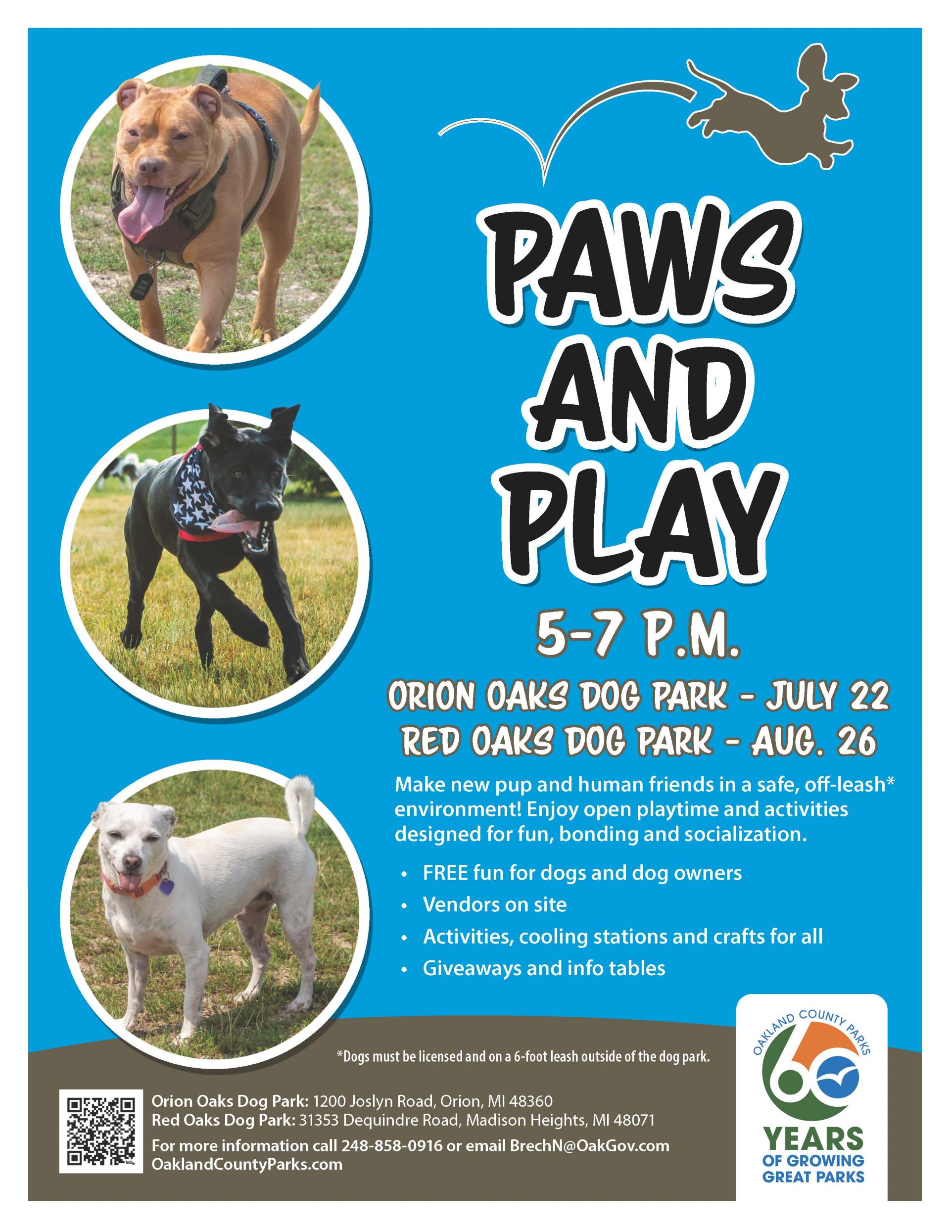 dog park